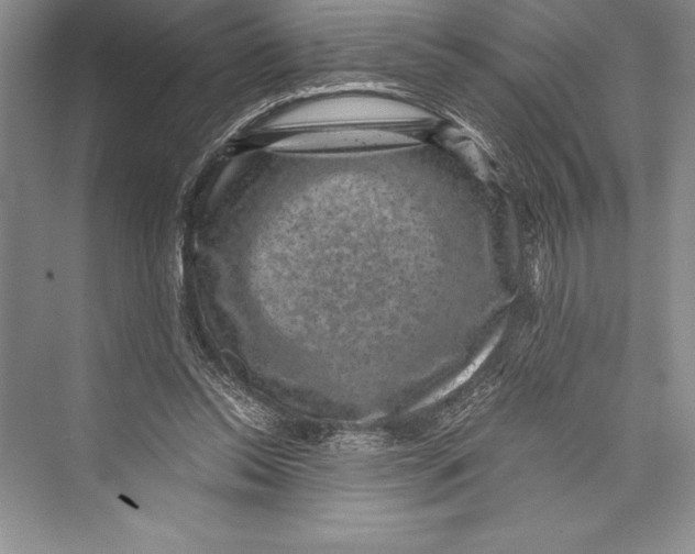 X0000072500350200608111634