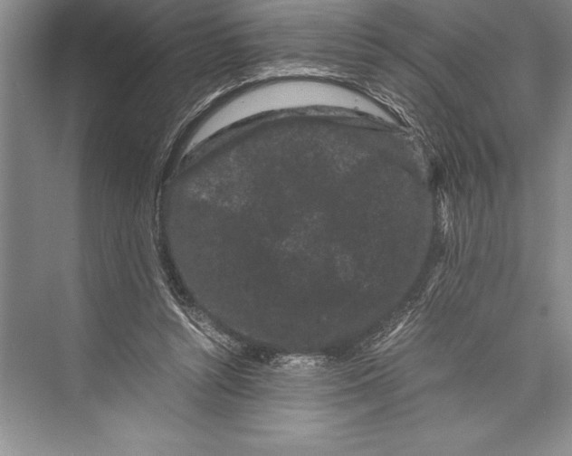 X0000072500352200608111634