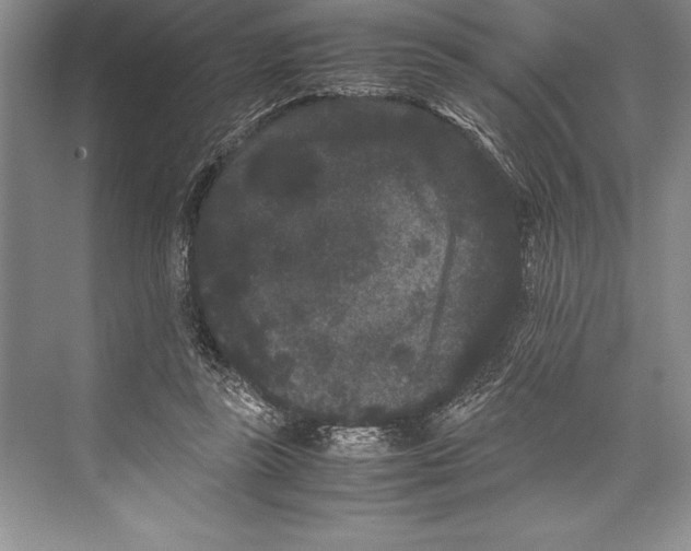 X0000072500355200608111634