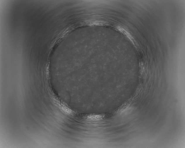 X0000072500357200608111634