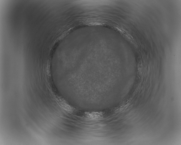 X0000072500359200608111634