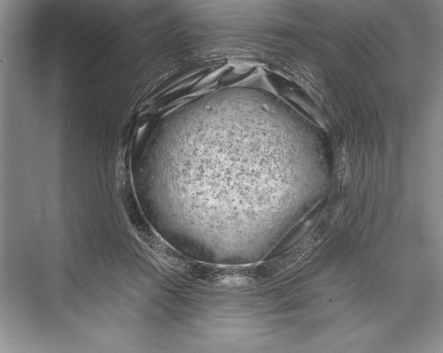 X0000072500360200608111634