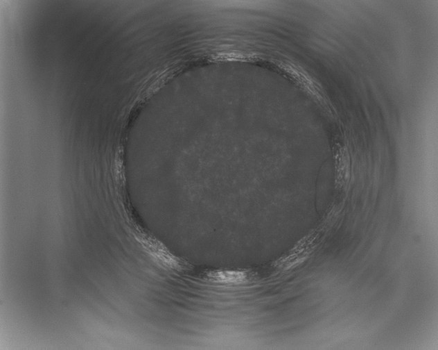 X0000072500361200608111634