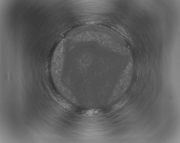 X0000072500366200608111634