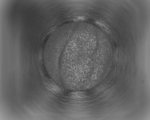 X0000072500367200608111634