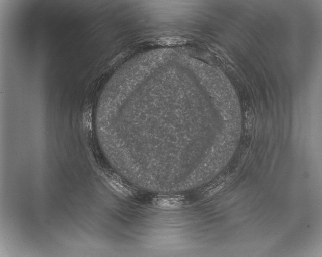 X0000072500368200608111634