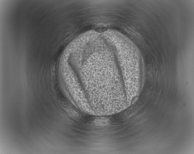 X0000072500369200608111634