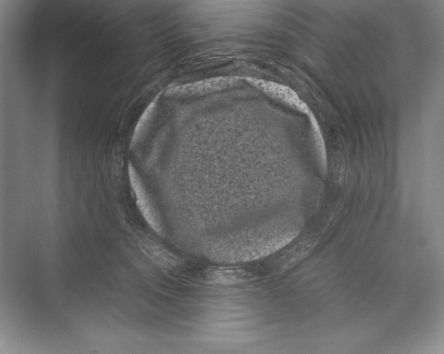 X0000072500372200608111634