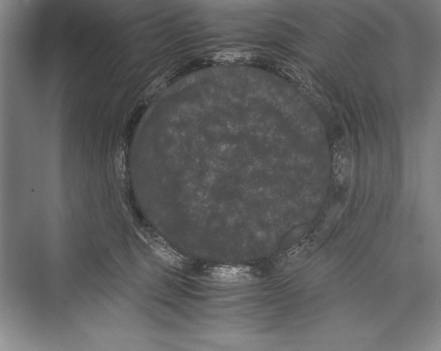 X0000072500375200608111634