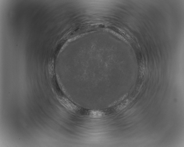 X0000072500376200608111634