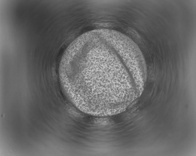 X0000072500377200608111634