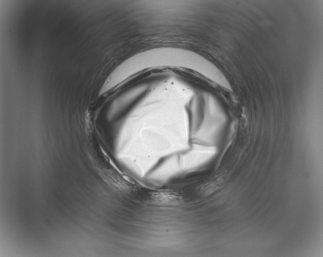 X0000072500380200608111634