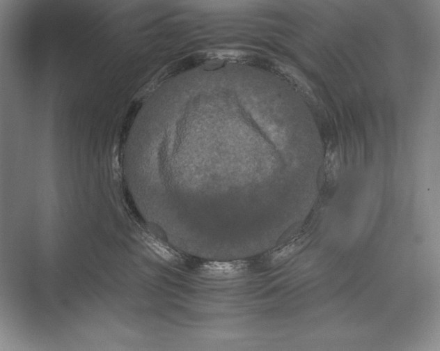 X0000072500381200608111634