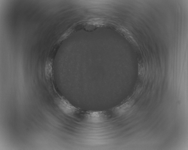 X0000072500382200608111634