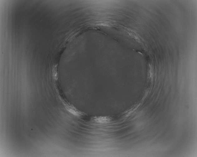 X0000072500383200608111634