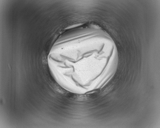 X0000072500384200608111634