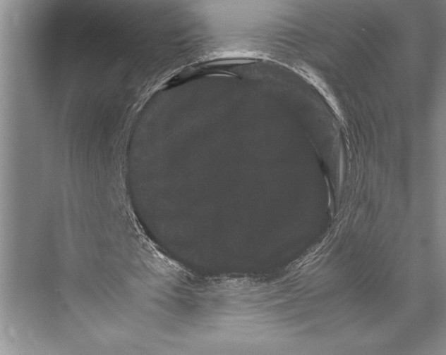 X0000072500385200608111634