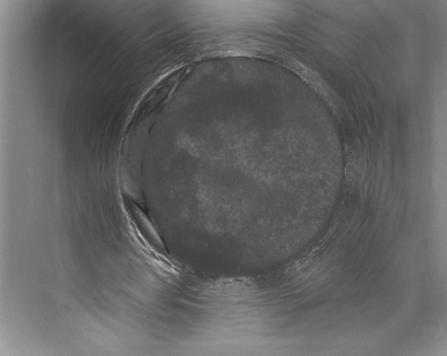 X0000072500386200608111634