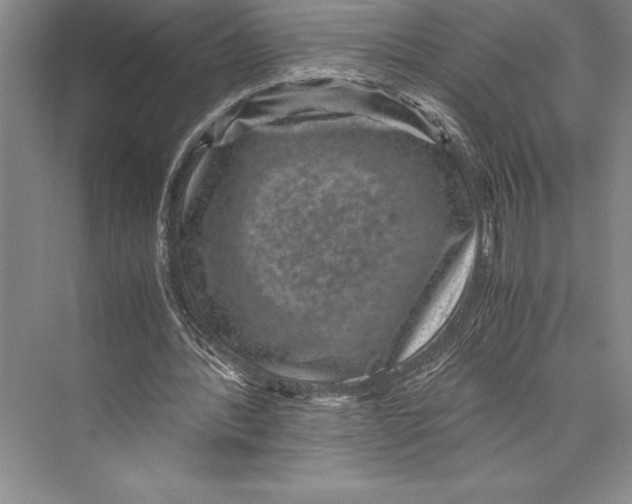 X0000072500388200608111634