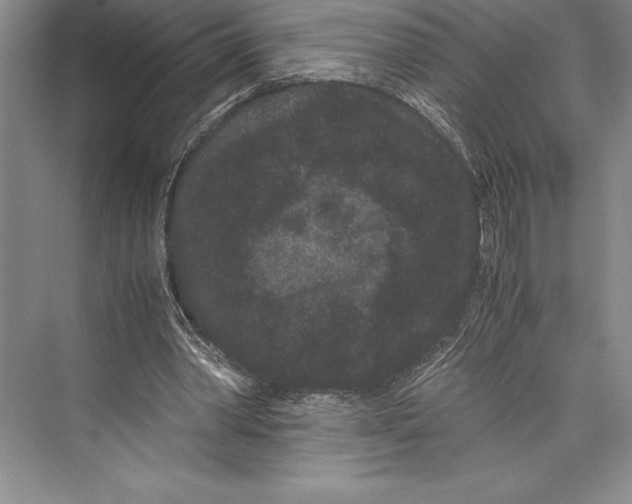 X0000072500390200608111633