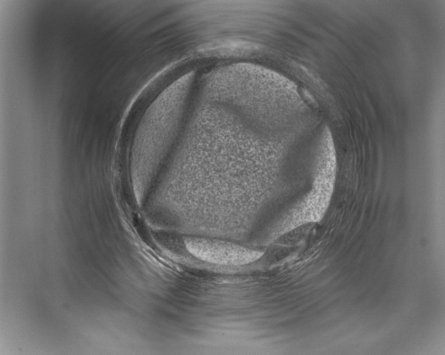 X0000072500392200608111633