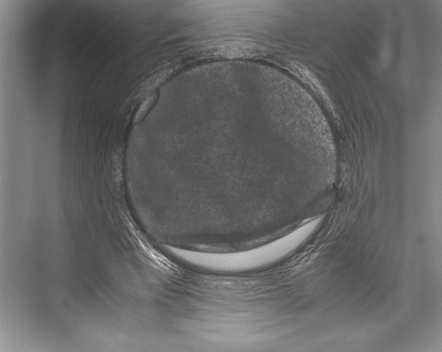 X0000072500393200608111633