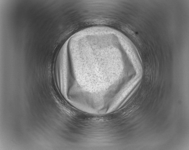 X0000072500394200608111633