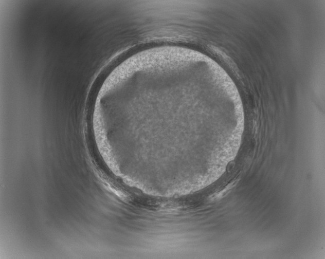 X0000072500395200608111633