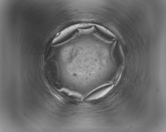 X0000072500397200608111633