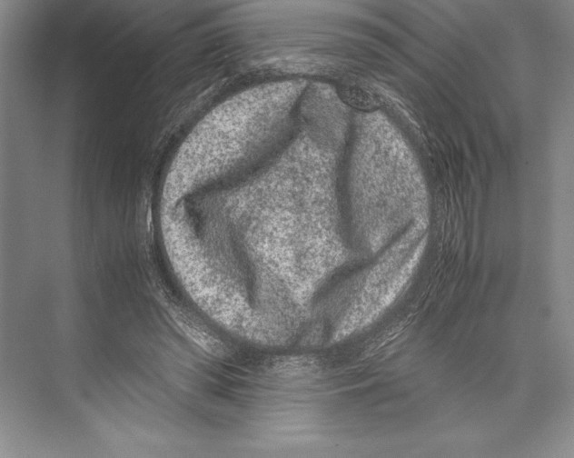 X0000072500398200608111633