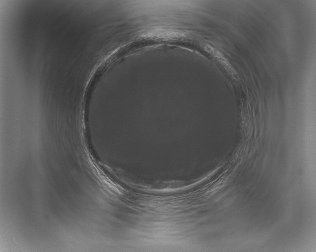 X0000072500399200608111633