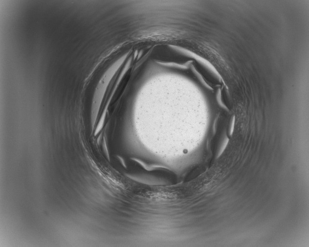 X0000072500400200608111633