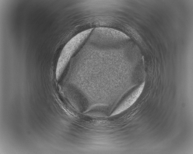 X0000072500401200608111633