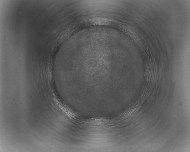 X0000072500402200608111633