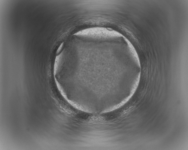 X0000072500403200608111633