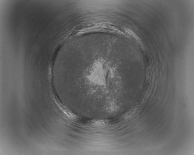 X0000072500405200608111633