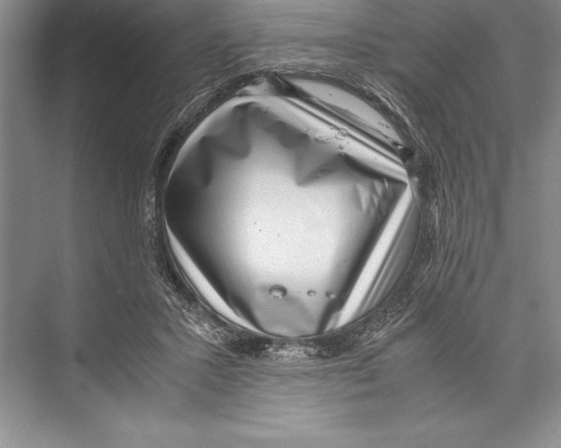 X0000072500407200608111633