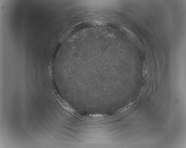 X0000072500409200608111633