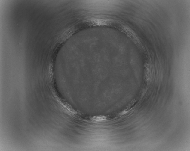 X0000072500410200608111633