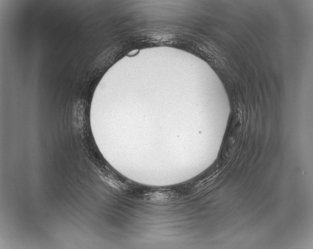 X0000072500412200608111633