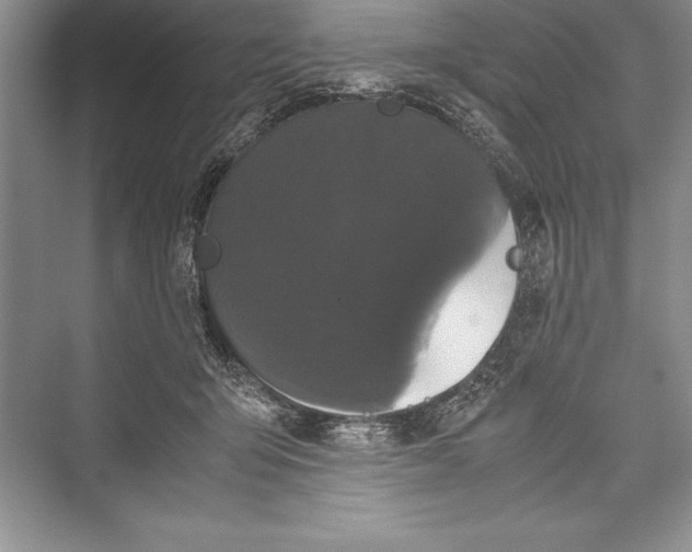 X0000072500415200608111633