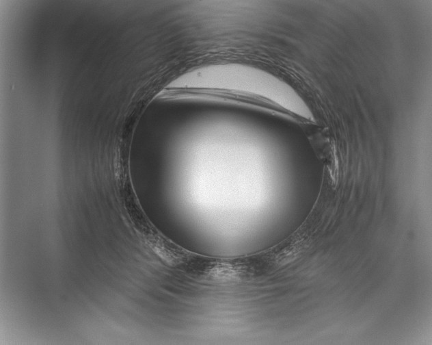 X0000072500416200608111633