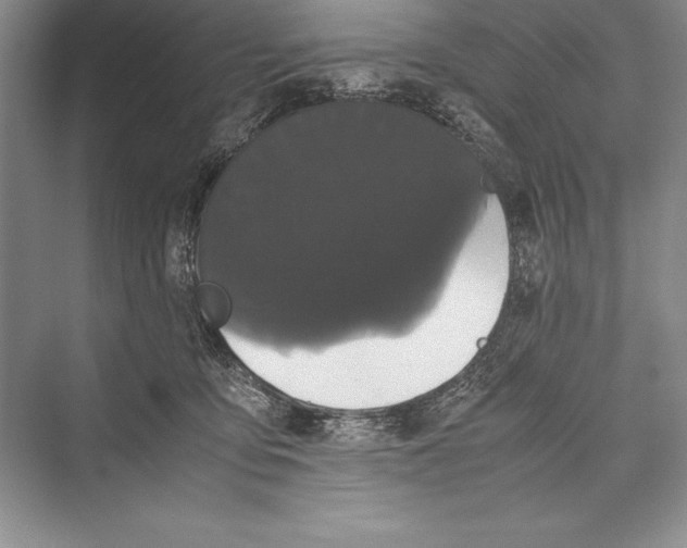 X0000072500419200608111633