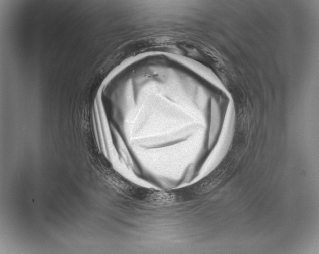 X0000072500421200608111633