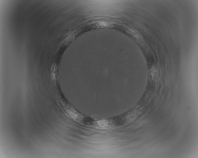 X0000072500423200608111633