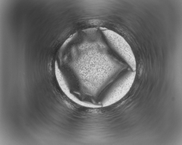 X0000072500424200608111633