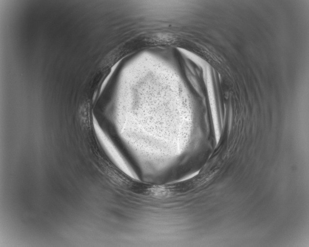 X0000072500425200608111633