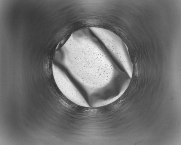 X0000072500428200608111633