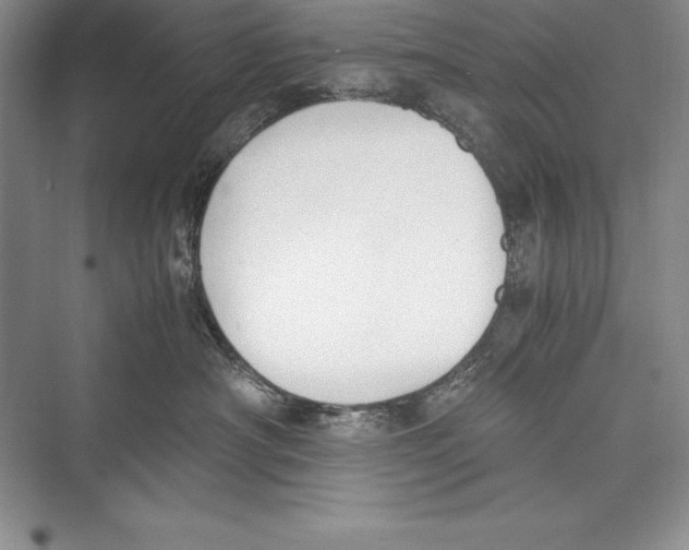 X0000072500430200608111633