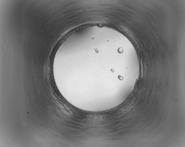 X0000072500435200608111632